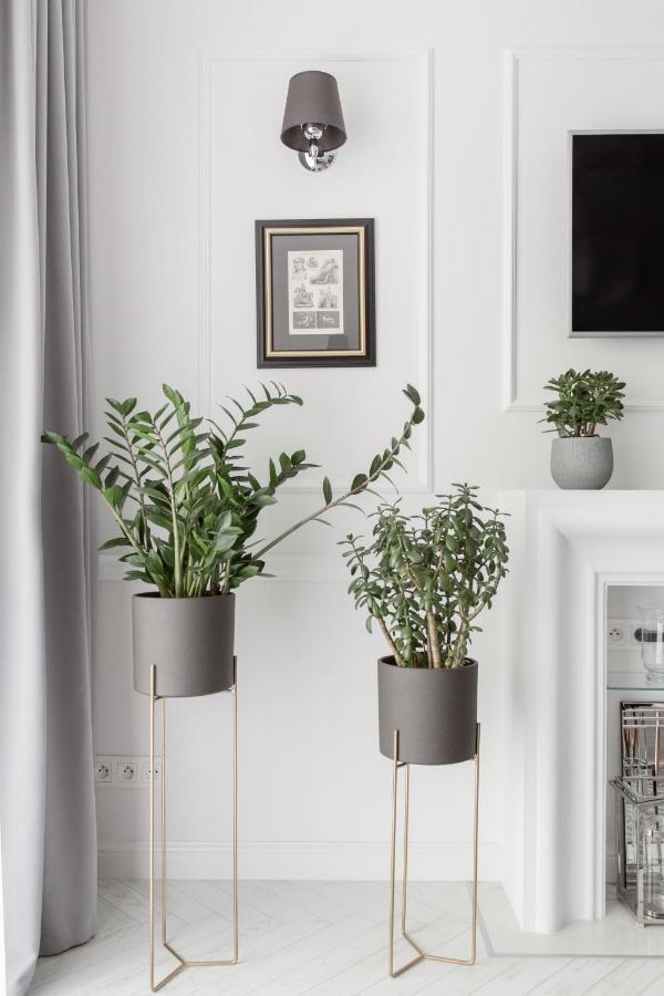 Luksusowy Apartament Hercena7 W Sercu Miasta Wrocław Exteriör bild